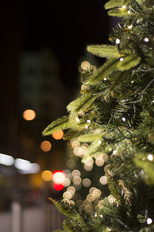 Christmas Pine and blurred lights bokeh effect