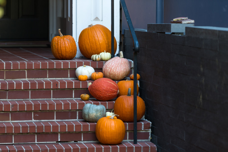 Rustic Decorations for Fall